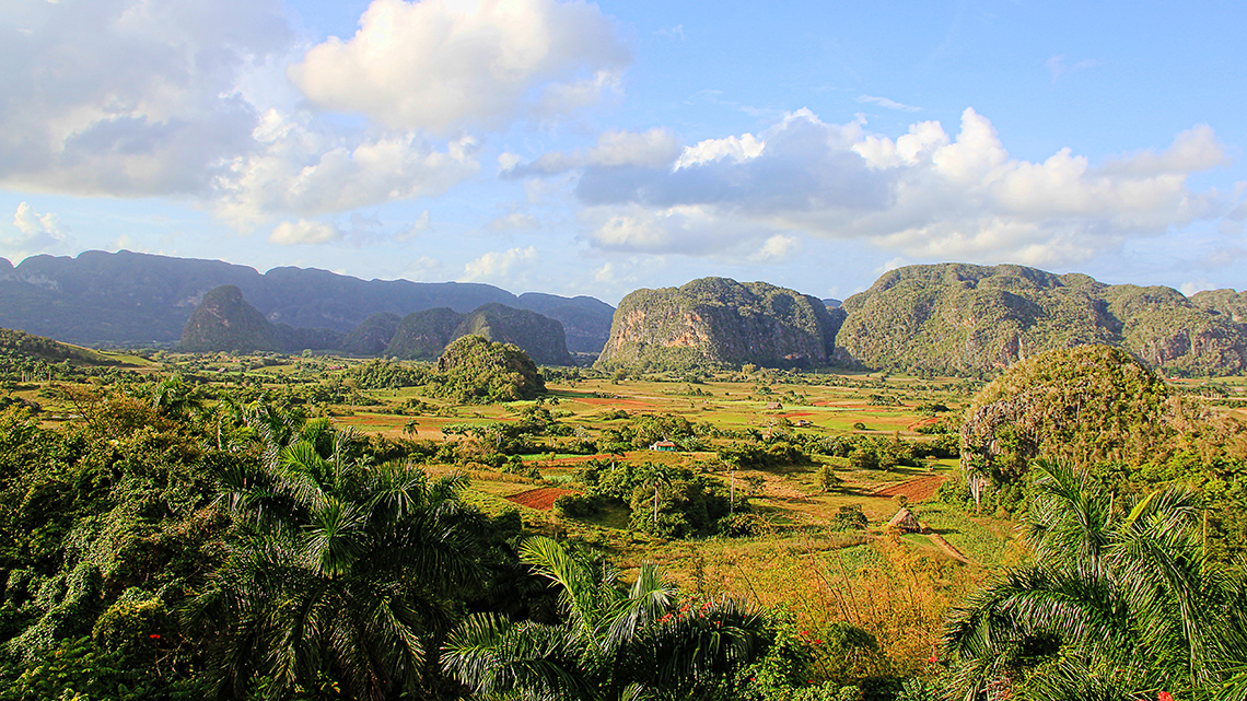 Agricultural fields protected by the giant mogotes of Vinales Valley