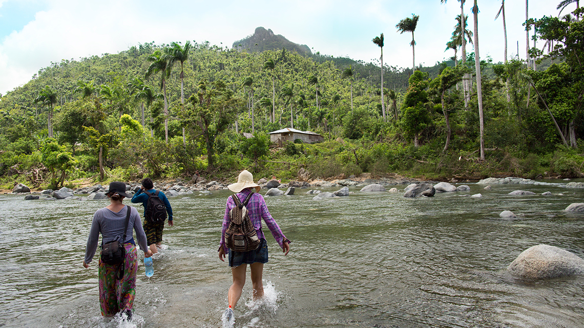 Trekking in Alejandro de Humboldt National Park