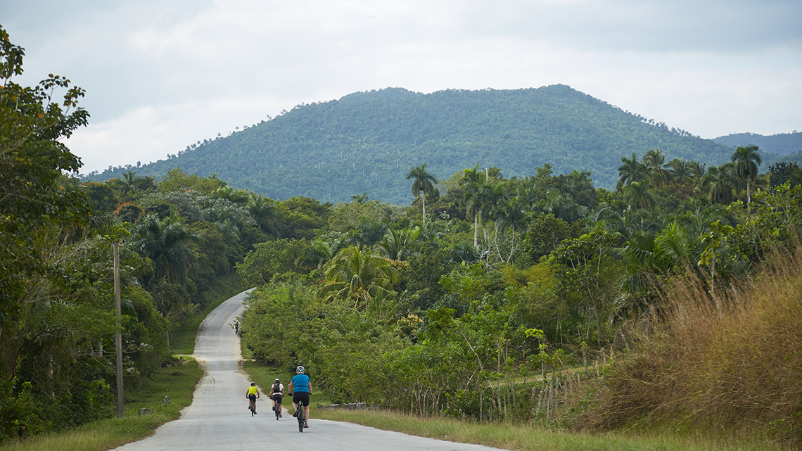 Cubania Travel cyclist riding the gentle hills of Sierra del Rosario