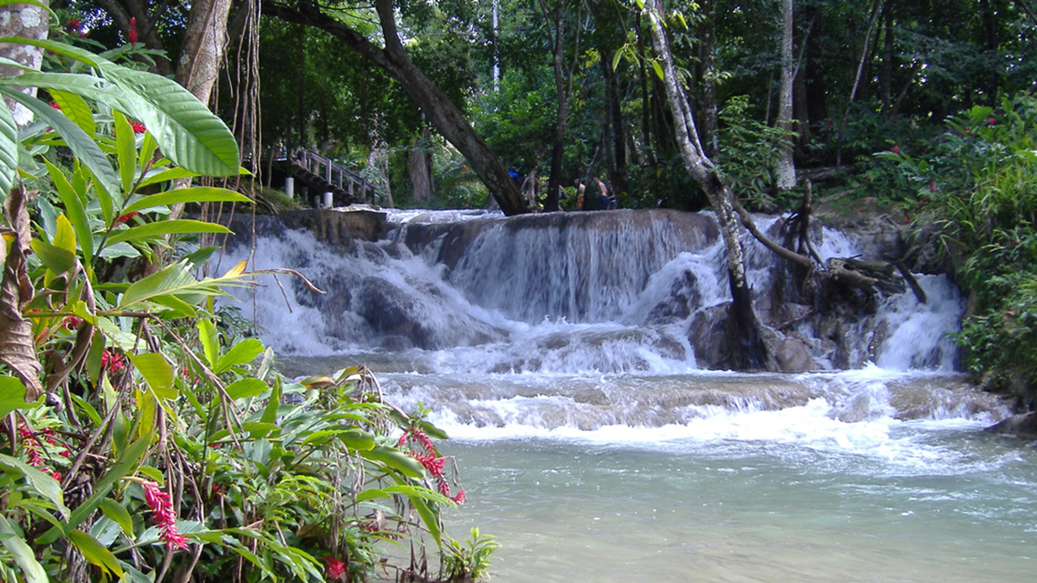 Make sure to take a dip at Dunns' River Falls